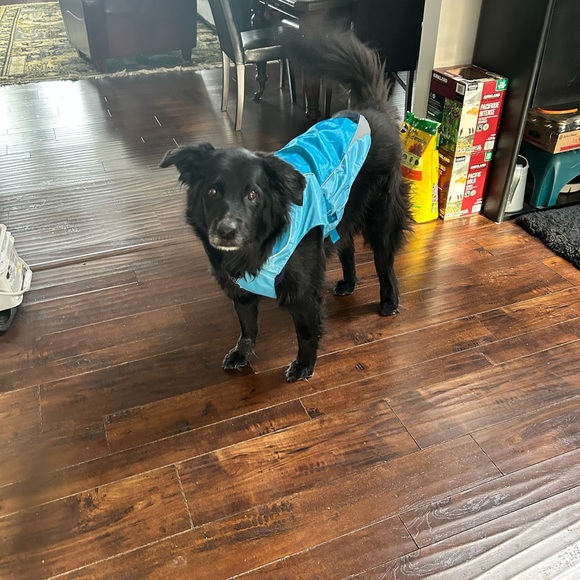 Dog’s North Country Coat. - Picture 3 of 7